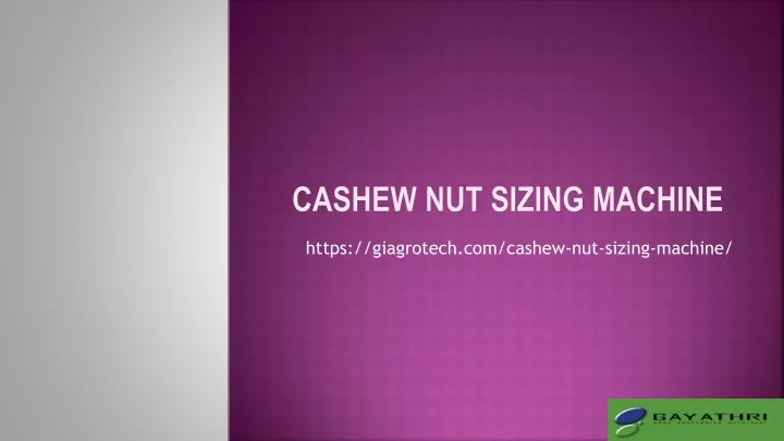 cashew nut sizing machine