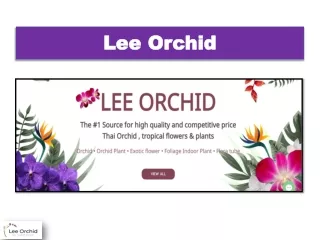 Know About the Specialty of Thai Orchid Plants.