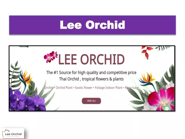 lee orchid
