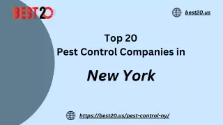 PPT of Pest Control New Yrok