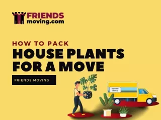 How To Pack Houseplants For A Move