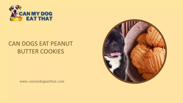 can dogs eat peanut butter cookies