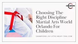 Choosing The Right Discipline Martial Arts World Orlando For Children