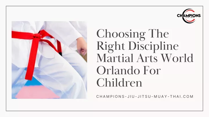 choosing the right discipline martial arts world