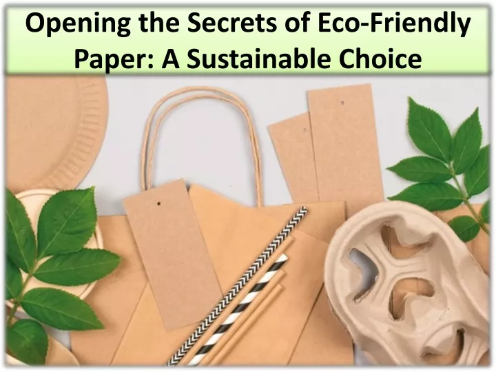 opening the secrets of eco friendly paper a sustainable choice