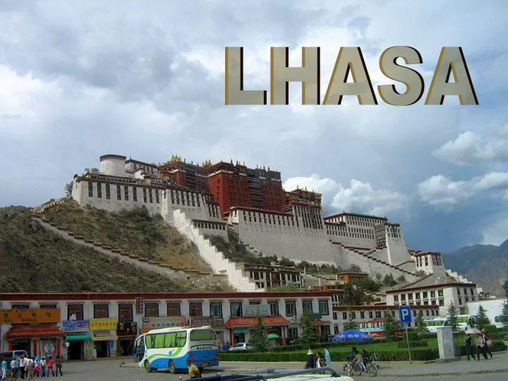 lhasa