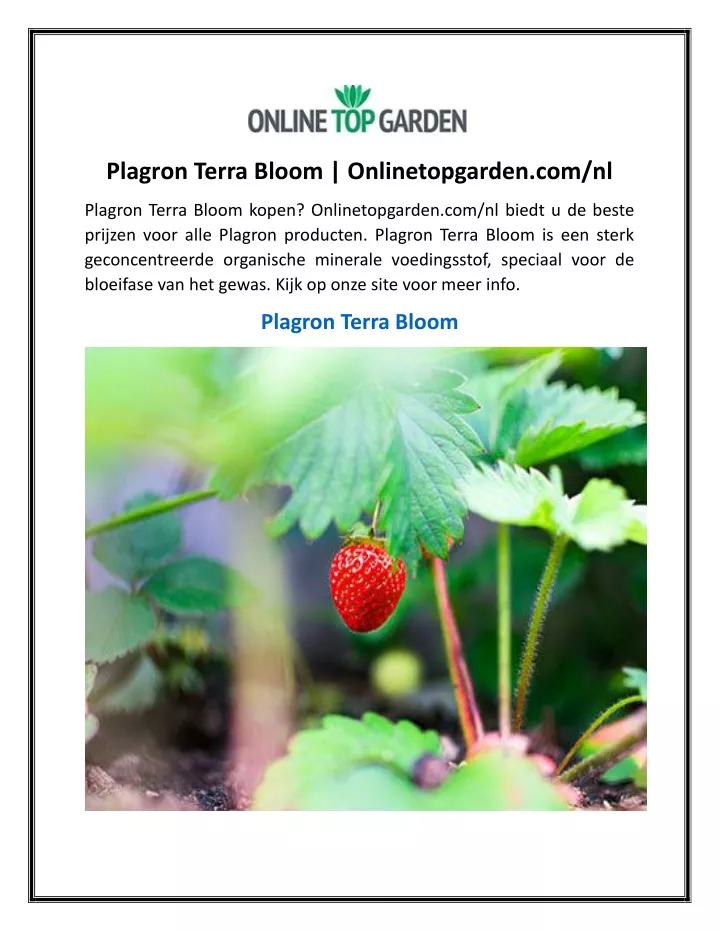 plagron terra bloom onlinetopgarden com nl