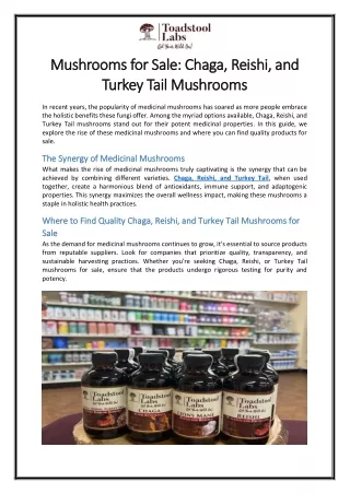 Mushrooms for Sale Chaga, Reishi, and Turkey Tail Mushrooms