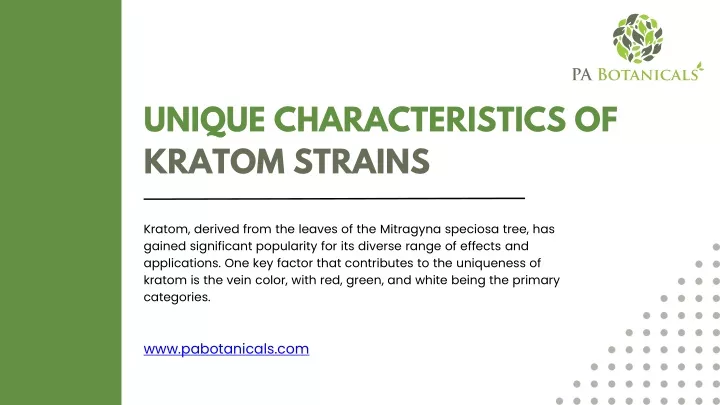 unique characteristics of kratom strains