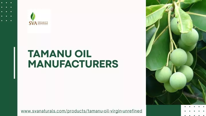 tamanu oil manufacturers