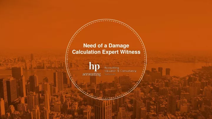 need of a damage calculation expert witness