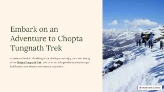 Explore the Majestic Heights with Our Chopta Tungnath Trek Package