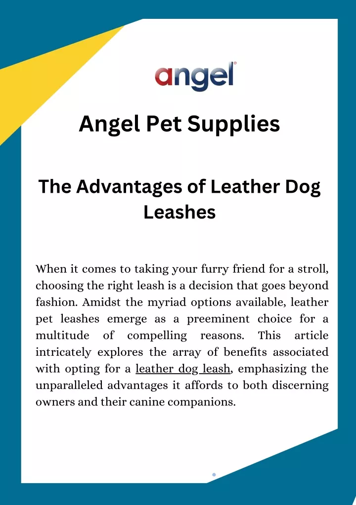 angel pet supplies