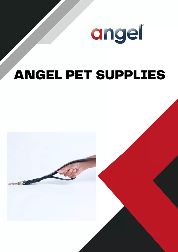 angel pet supplies