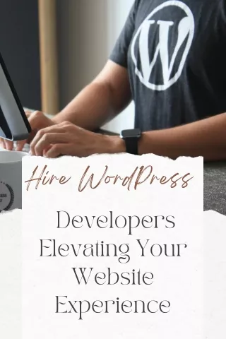 Hire WordPress Developers Elevating Your Website Experience