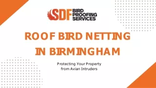 Roof Bird Netting Birmingham