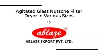 Agitated Glass Nutsche by Ablaze export