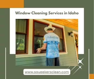 Experienced Technicians Care for Your Windows