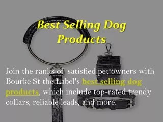 Best Selling Dog Products