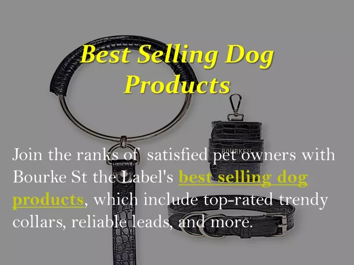 PPT Best Selling Dog Products PowerPoint Presentation, free download