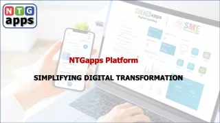 NTG LowCode Platform