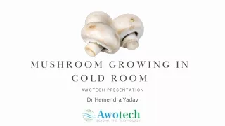 Mushroom growing in cold Room-Awotech