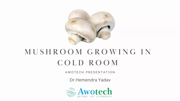 mushroom growing in cold room