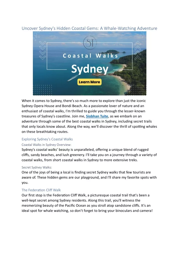 uncover sydney s hidden coastal gems a whale