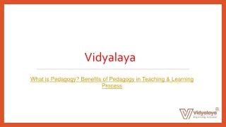vidyalaya