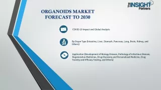 Organoids Market Share, Comprehensive Analysis 2030