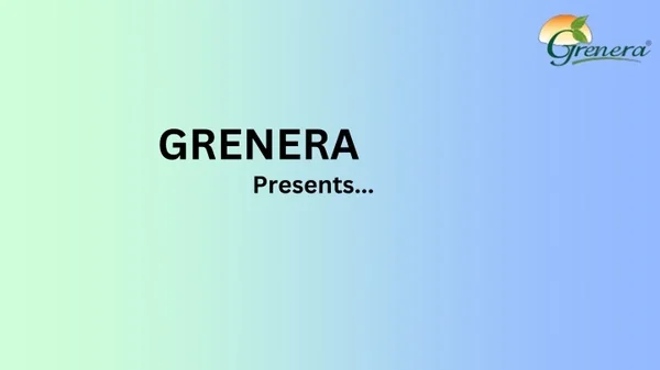 Wholesale Moringa Powder Suppliers In Los Angeles