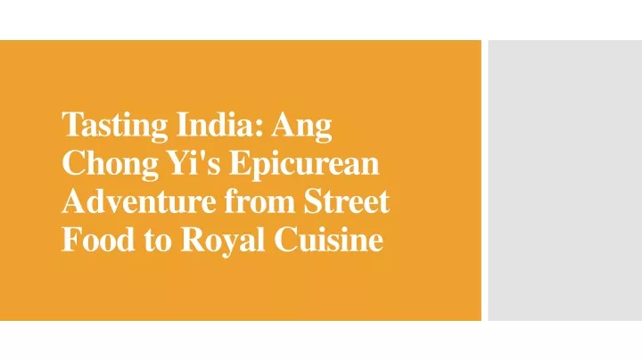 tasting india ang chong yi s epicurean adventure from street food to royal cuisine