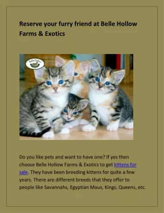 Reserve your furry friend at Belle Hollow Farms & Exotics
