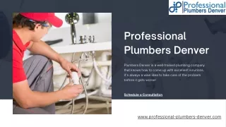 Expert Plumbing Services in Denver | Professional Plumbers Denver