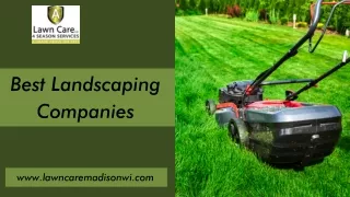 Best Landscaping Companies