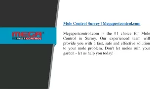 Mole Control Surrey  Megapestcontrol.com.pptx01