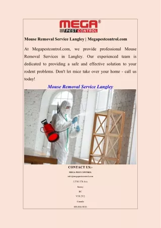 Mouse Removal Service Langley  Megapestcontrol.com