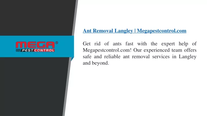 ant removal langley megapestcontrol