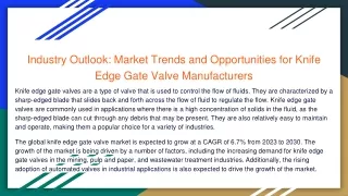 Market Trends and Opportunities for Knife Edge Gate Valve Manufacturers