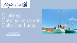 Enjoy your adventure life with Cruising Catamaran in Cabo San Lucas on Tour
