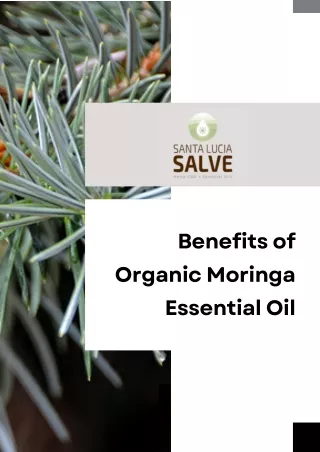 Organic Moringa Essential Oil for Holistic Health