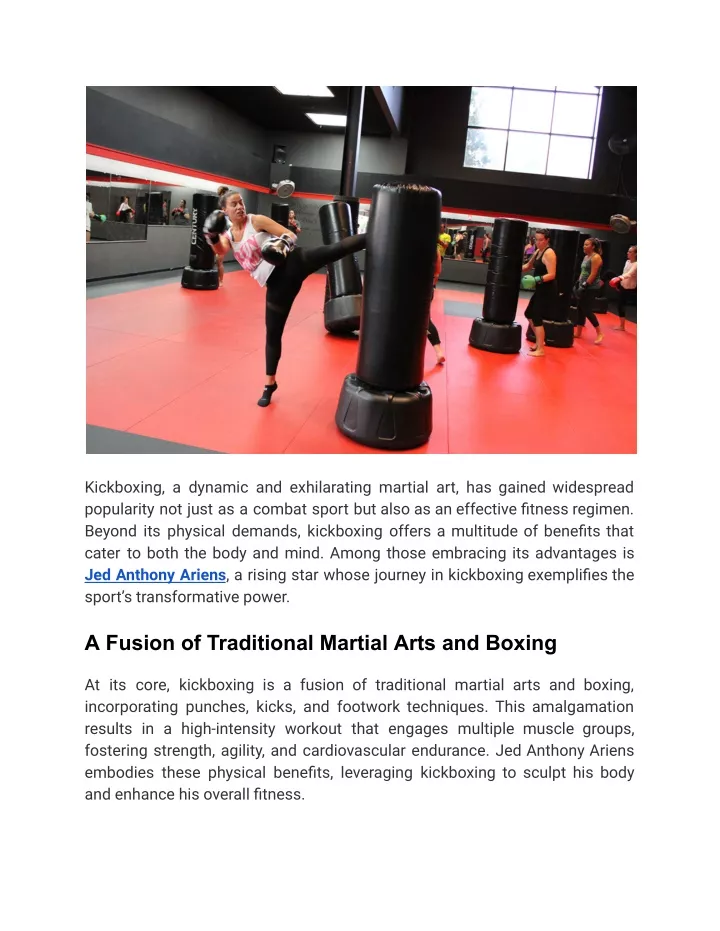 kickboxing a dynamic and exhilarating martial