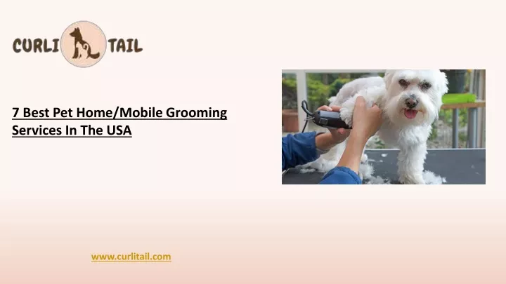 7 best pet home mobile grooming services