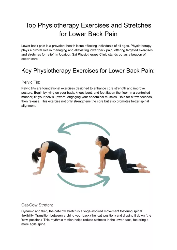 top physiotherapy exercises and stretches