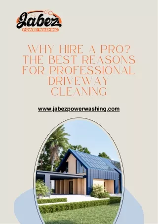Why Hire a Pro The Best Reasons for Professional Driveway Cleaning