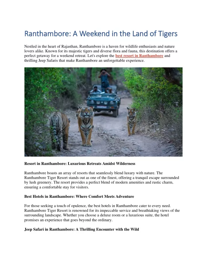 ranthambore a weekend in the land of tigers
