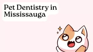 Pet Dentistry in Mississauga