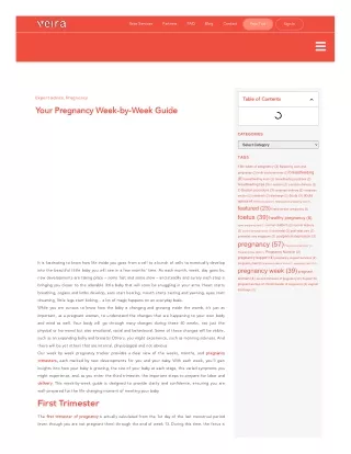 veiralife-com-your-pregnancy-week-by-week-guide-