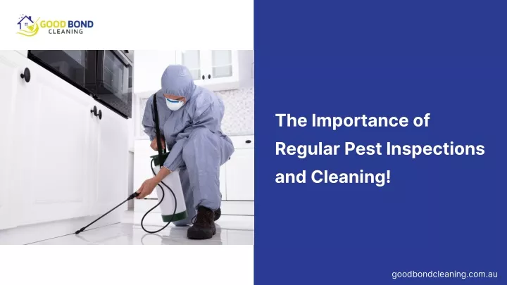 the importance of regular pest inspections