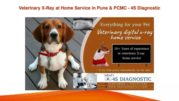 veterinary x ray at home service in pune pcmc 4s diagnostic